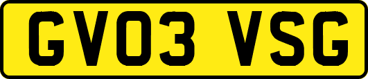 GV03VSG