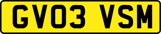 GV03VSM