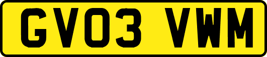 GV03VWM