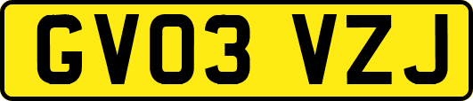 GV03VZJ