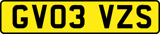 GV03VZS