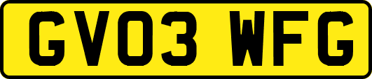 GV03WFG