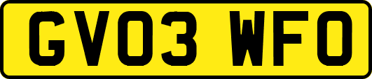 GV03WFO