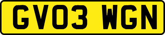 GV03WGN