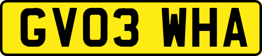 GV03WHA