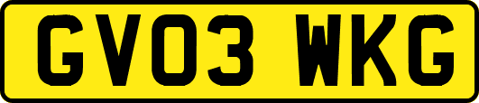 GV03WKG