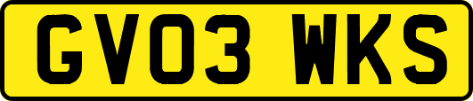 GV03WKS