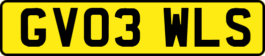 GV03WLS
