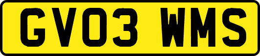GV03WMS