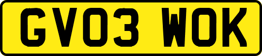 GV03WOK