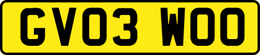 GV03WOO