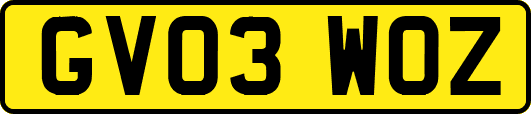 GV03WOZ