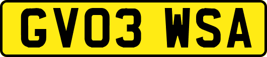 GV03WSA