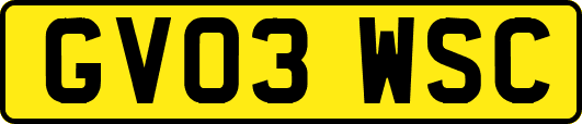 GV03WSC
