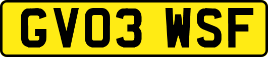 GV03WSF