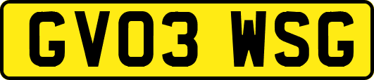 GV03WSG