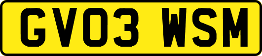 GV03WSM