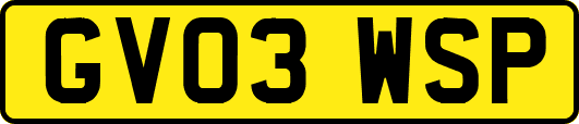 GV03WSP