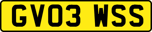 GV03WSS