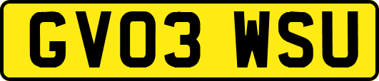 GV03WSU