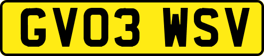 GV03WSV