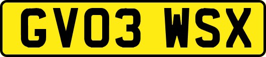 GV03WSX