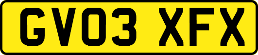 GV03XFX