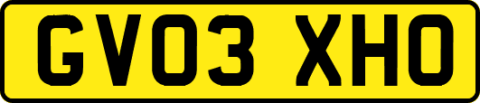 GV03XHO