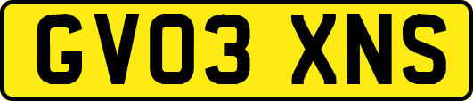 GV03XNS