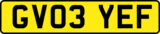 GV03YEF
