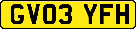 GV03YFH