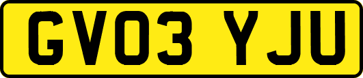 GV03YJU