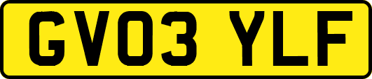 GV03YLF