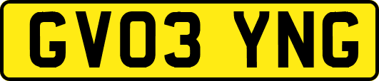 GV03YNG