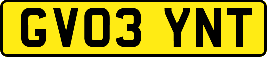 GV03YNT