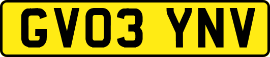 GV03YNV