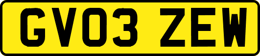 GV03ZEW