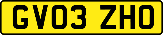GV03ZHO