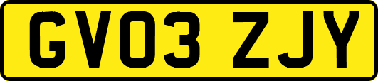GV03ZJY