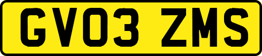 GV03ZMS