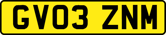 GV03ZNM