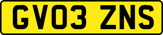 GV03ZNS