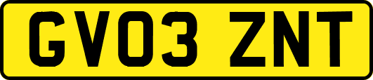 GV03ZNT