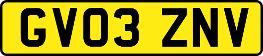GV03ZNV