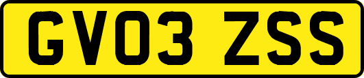 GV03ZSS