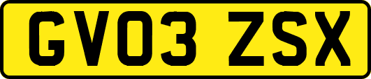 GV03ZSX