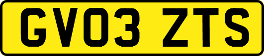 GV03ZTS