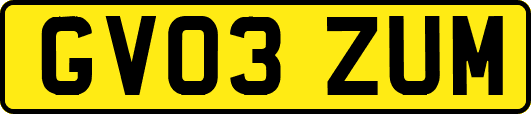 GV03ZUM