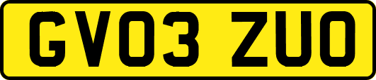GV03ZUO