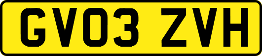 GV03ZVH